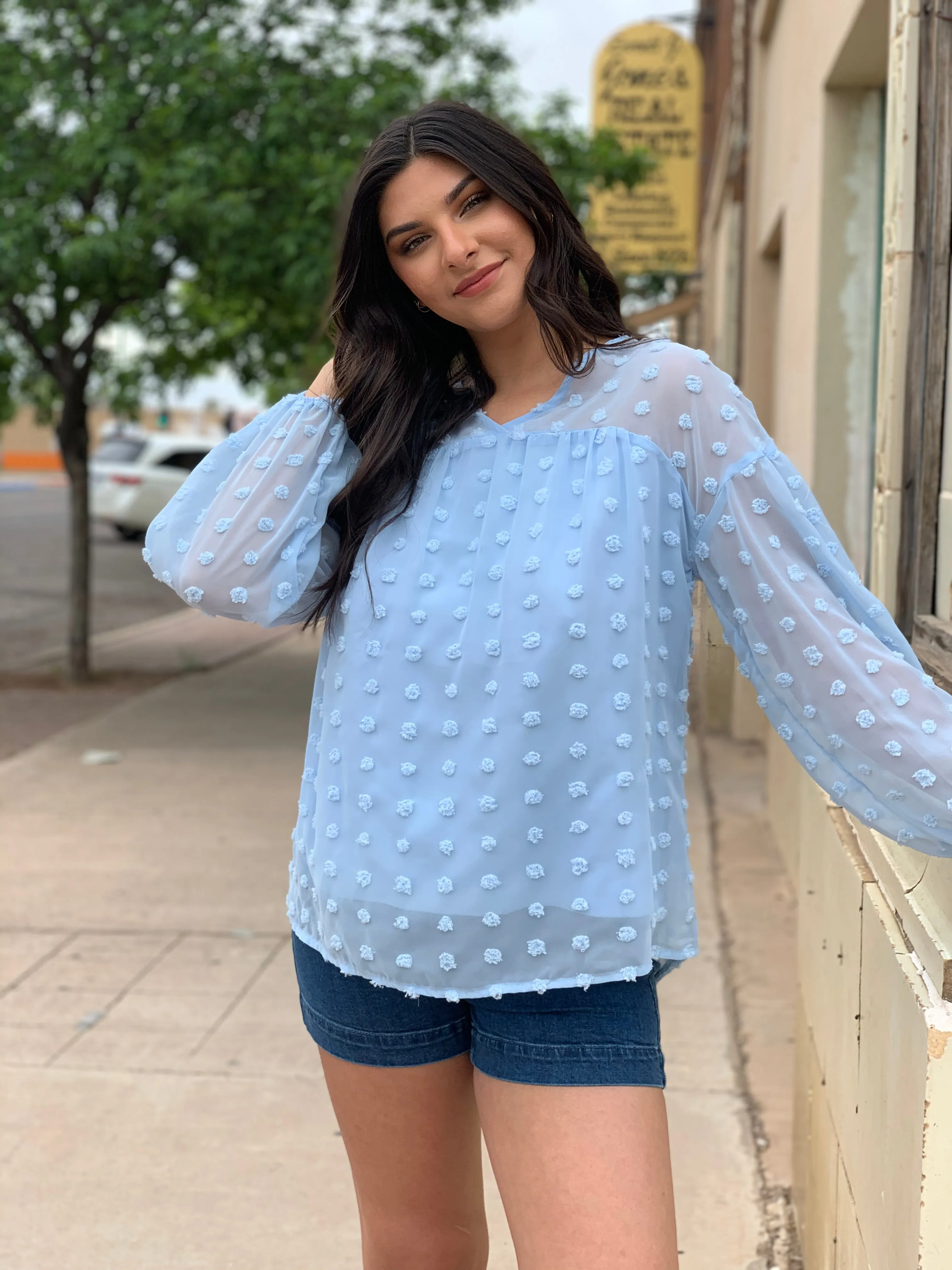 Baby Blue Swiss Dot Long Sleeve Top