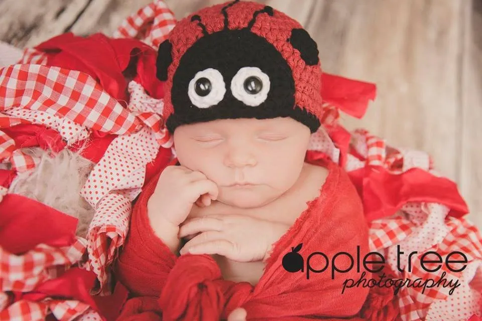 Crochet Pattern for Love Bug Ladybug Beanie | Crochet Hat Pattern | Hat Crocheting Pattern | DIY Written Crochet Instructions