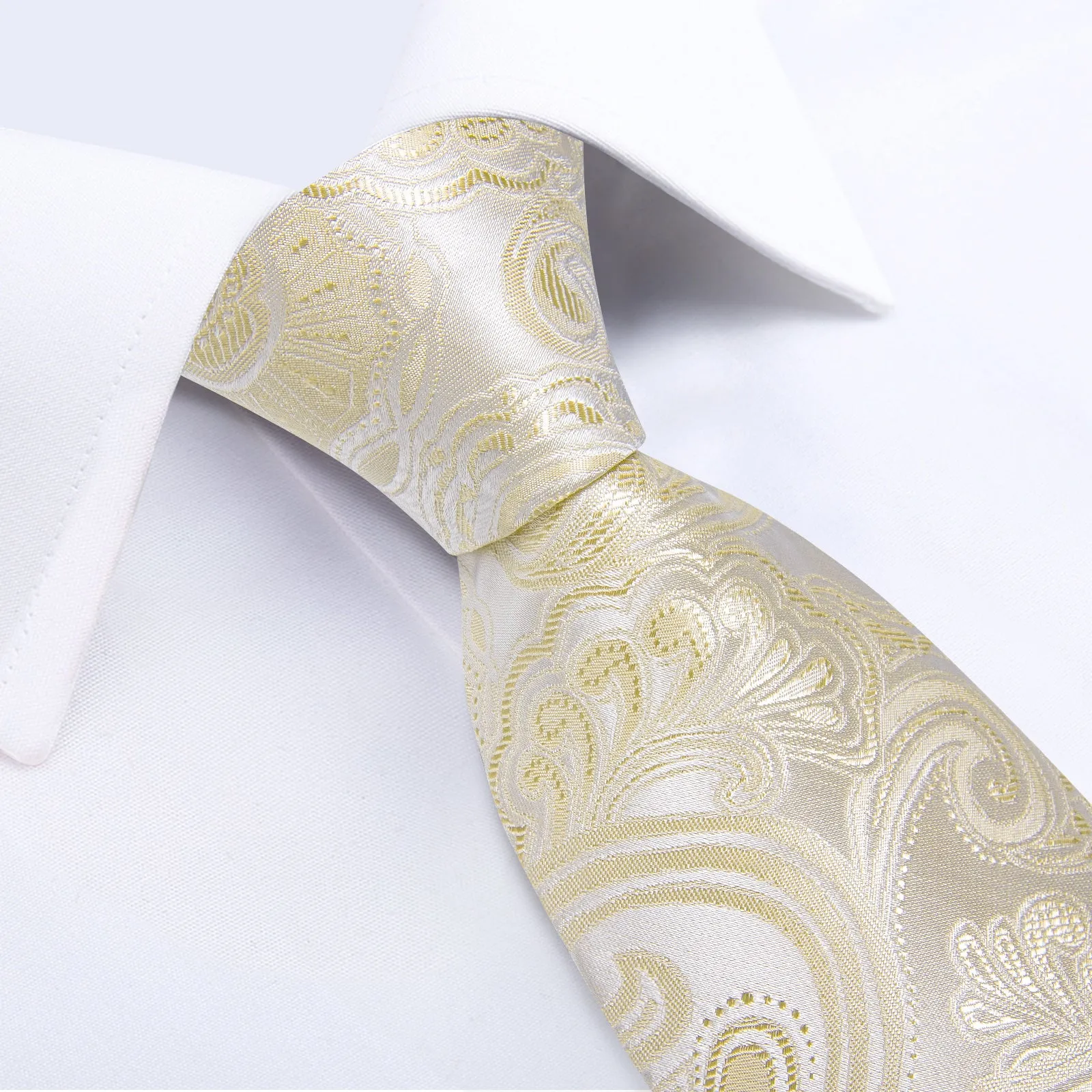 DiBanGu Champagne Tie Floral Men's Tie Pocket Square Handkerchief Set