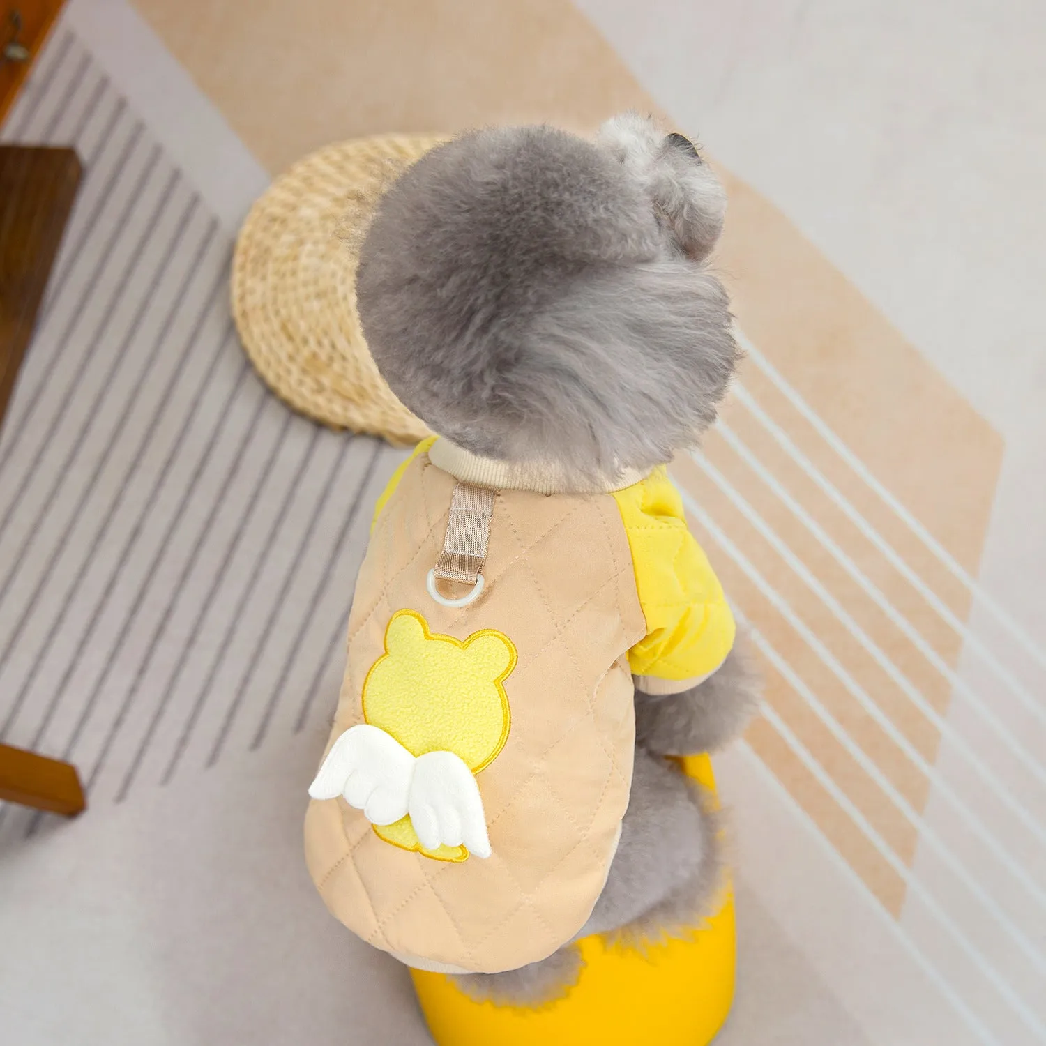 Pet Clothes | Angel Bear Cotton Coat for Dogs and Cats | 2024 New Autumn and Winter Pet Clothing