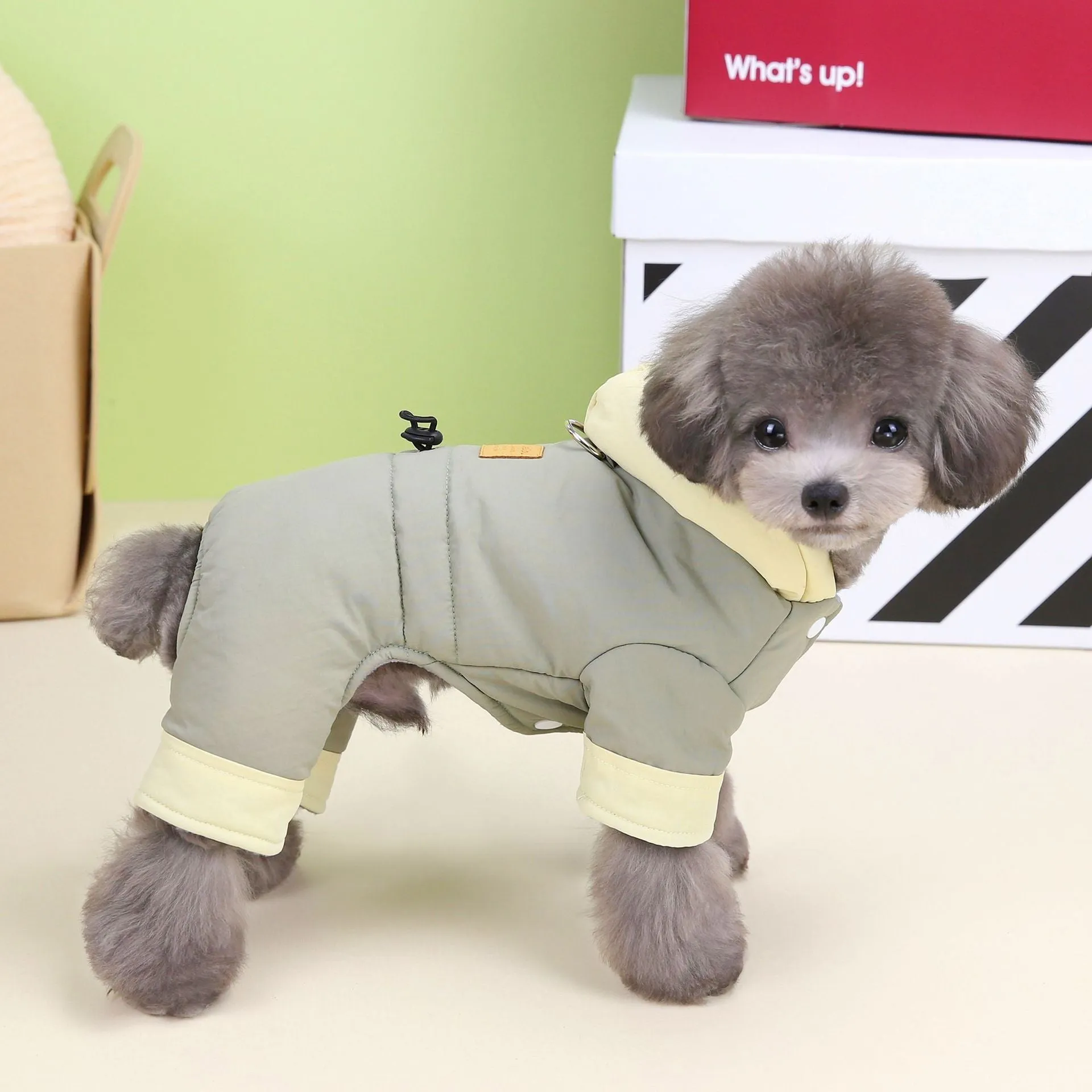 Pet Clothes | Korean Style Thickened Four-Leg Cotton Coat for Dogs | 2023 New Winter Teddy Pet Clothing